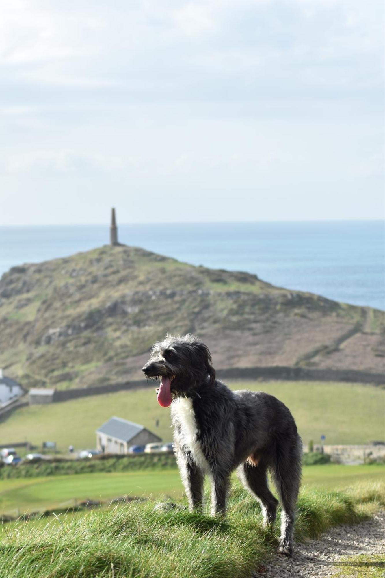 Cape Cornwall Club 3* St Just